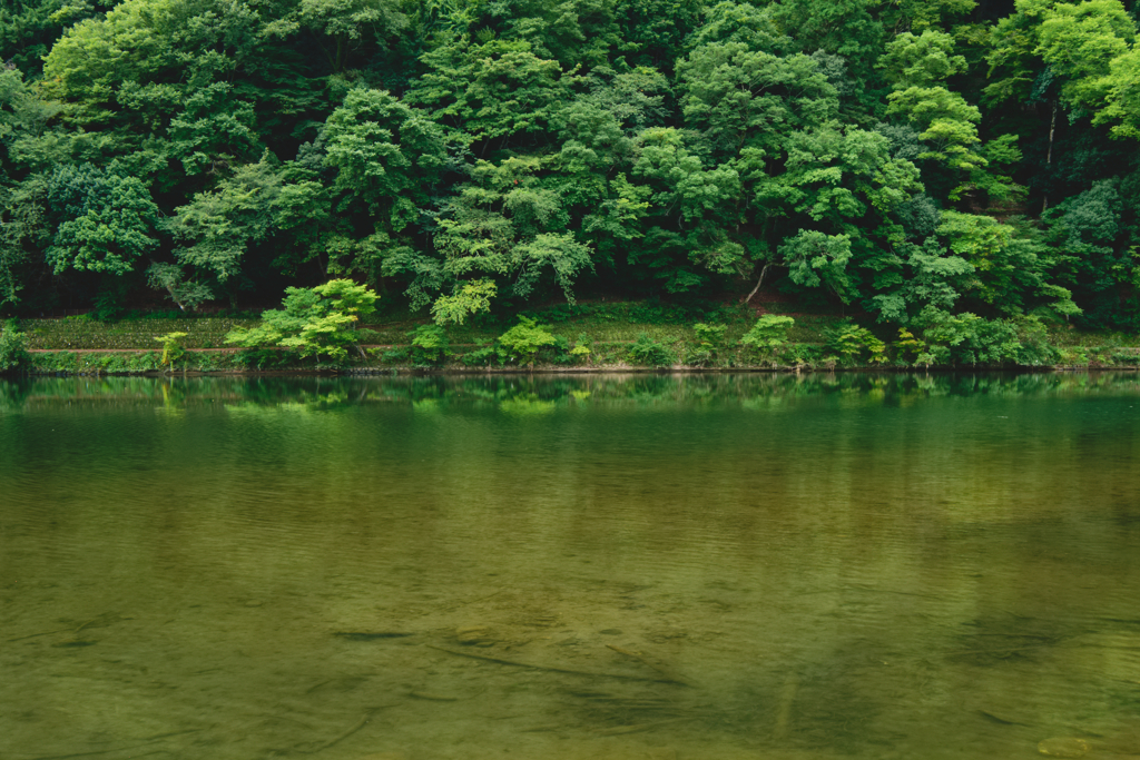 早朝・嵐山散歩