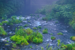 霧と白糸の滝（静岡県富士宮市）