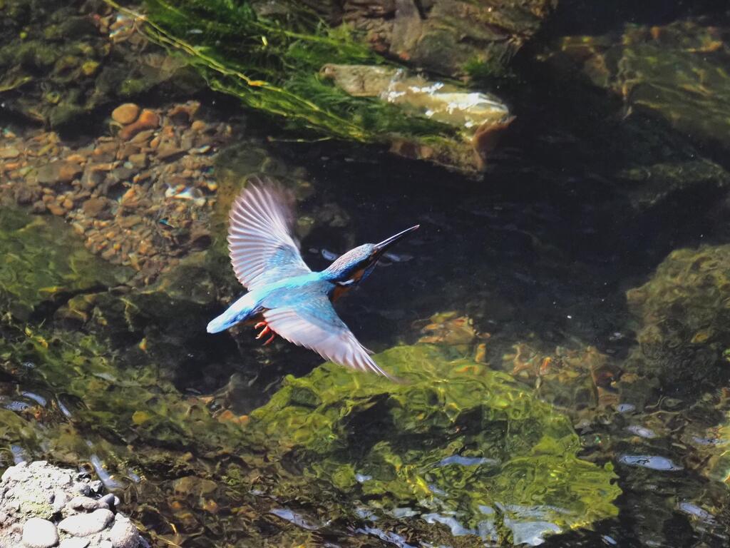 飛んで