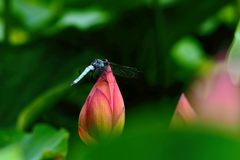 2019-07-03(2)