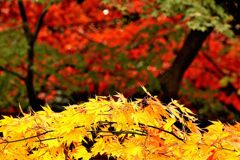 2019-12-11(3)