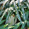 動物園