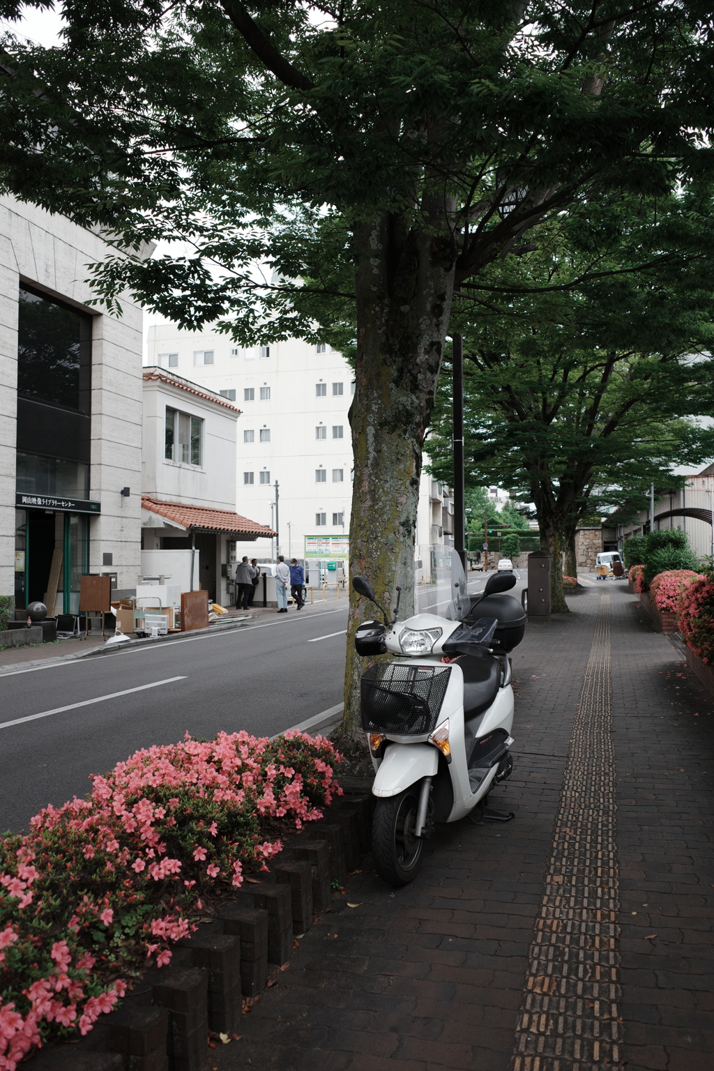 ある街の風景5月－01