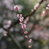 DSC05216