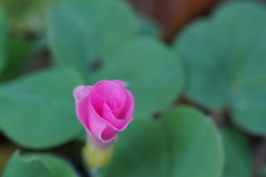 DSC03819