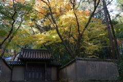 DSC05026