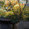DSC05026