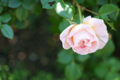 DSC04105