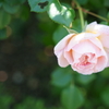 DSC04105
