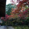 宝福寺紅葉202303