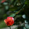 DSC04112