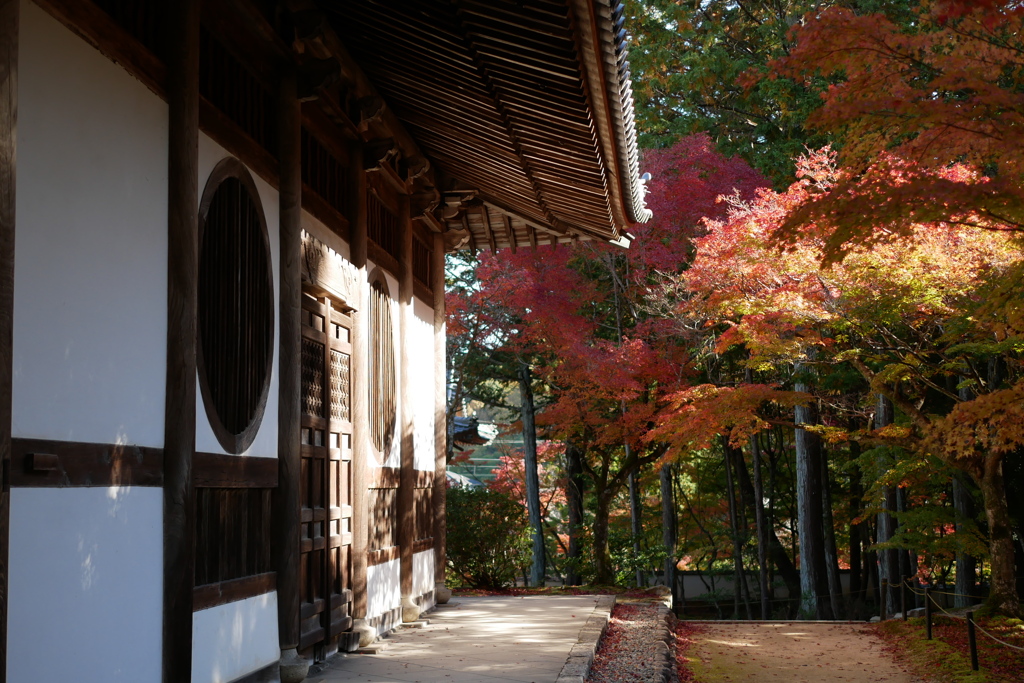 宝福寺2024-3