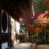 宝福寺2024-3