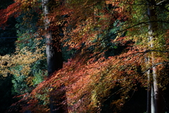 DSC04859