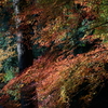 DSC04859