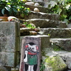 猫の道01