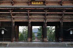 東大寺01