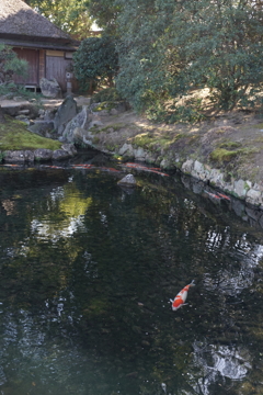 DSC05170