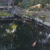 DSC05170