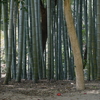 DSC05195