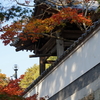 DSC04935
