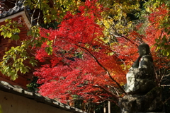 DSC05016