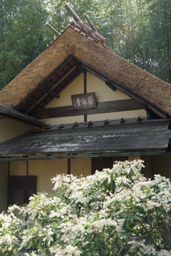DSC05213