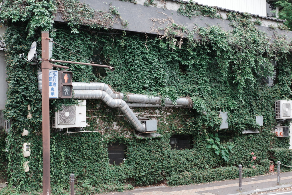 ある街の風景5月－02