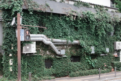 ある街の風景5月－02