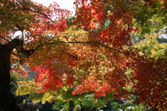DSC04819