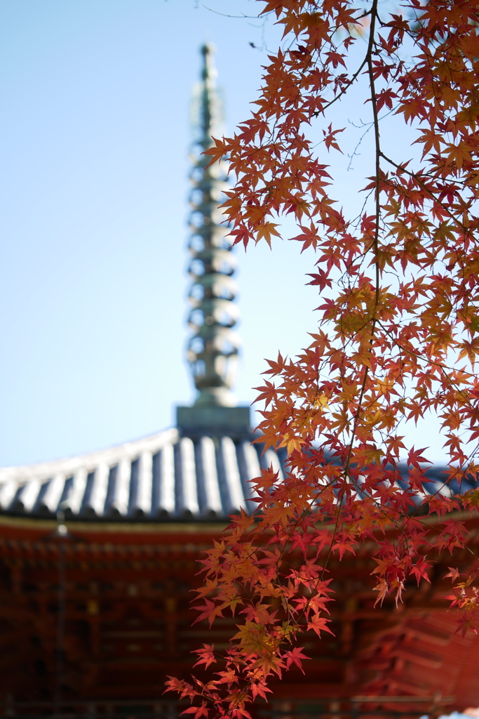 宝福寺2024-2