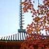 宝福寺2024-2