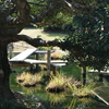 DSC04822