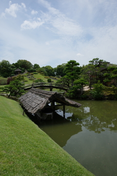 R0000229