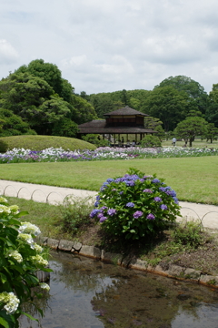 R0000248