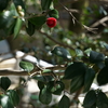 DSC05194