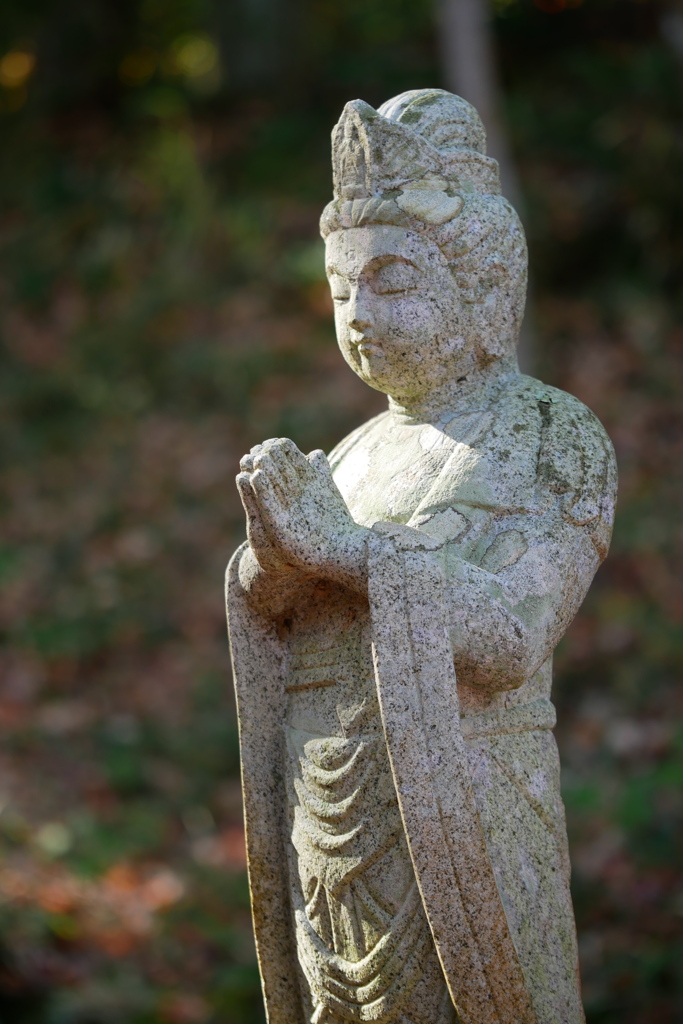 宝福寺2024-4