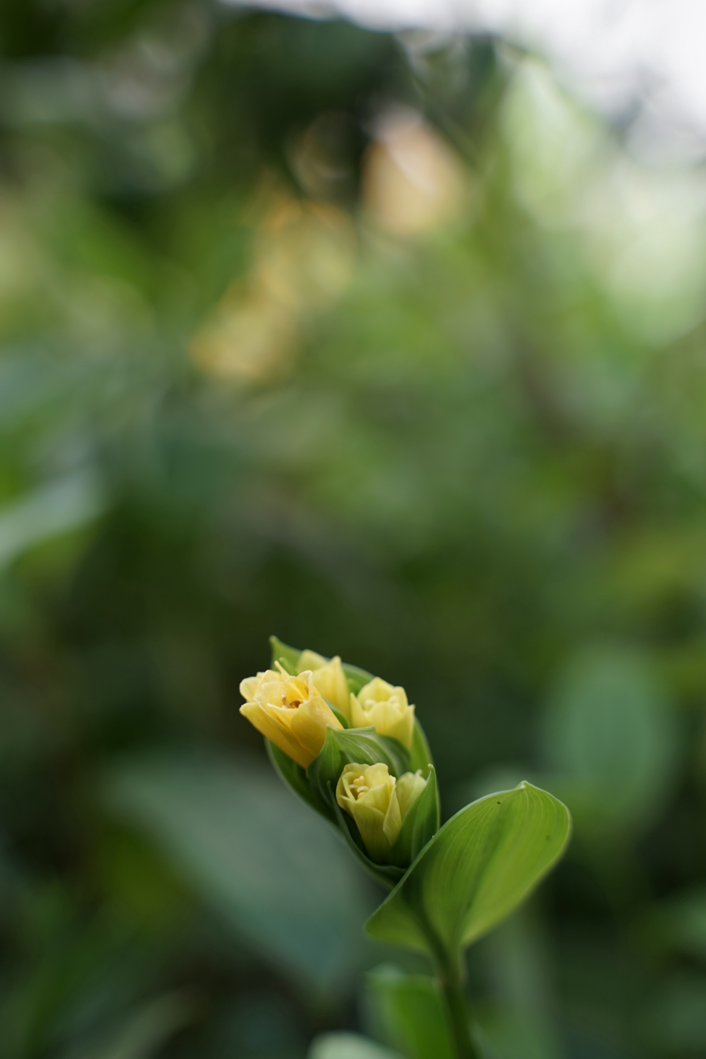 DSC05260