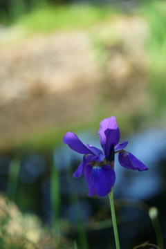DSC03920