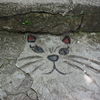猫の道03