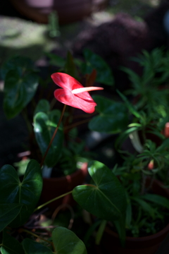 DSC04064