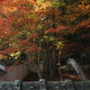 DSC04919