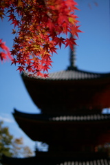 宝福寺2024-1