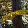 DSC05002