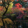 DSC04958
