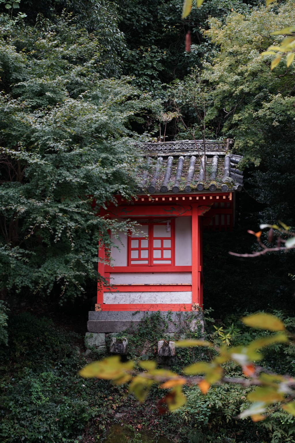 DSC04528