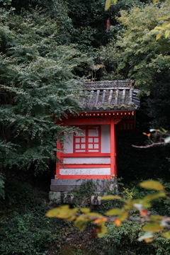DSC04528