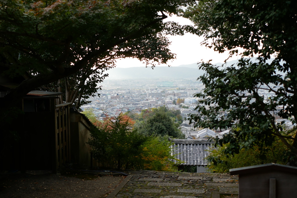 白毫寺01