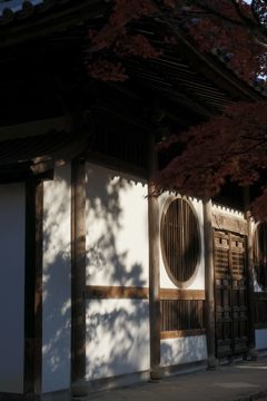 DSC04956