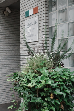 ある街の風景5月－04